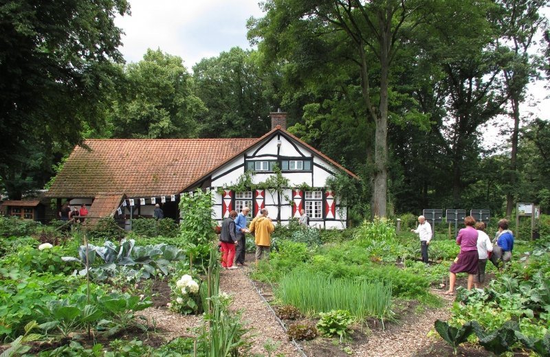 Ontdek het Limburgse landschap